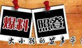 最方便的新闻爆料平台是,最便捷的新闻爆料平台，一键掌握实时资讯！”