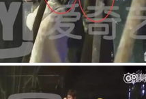 桌伟最新爆料李小璐,桌伟最新爆料揭露惊人内幕