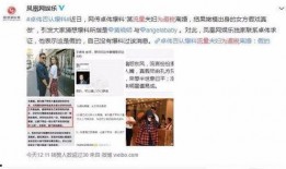 卓伟爆料李鬼们视频,揭秘娱乐圈虚假炒作背后的黑幕