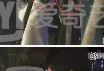 桌伟最新爆料李小璐,桌伟最新爆料揭露惊人内幕