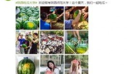 高校最新大瓜爆料,最新大瓜爆料揭秘校园秘闻