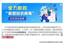 湖州女士爆料事件最新,事件真相与网络舆论漩涡