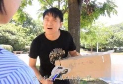 街头免费吃瓜骗局视频,警惕陷阱，守护你的财产安全
