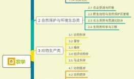 桃花大爆料解说大全视频,揭秘解说大全视频背后的精彩瞬间